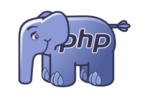 .تصميم مواقع Php مخصصة تجسد جوهر علامتك التجارية